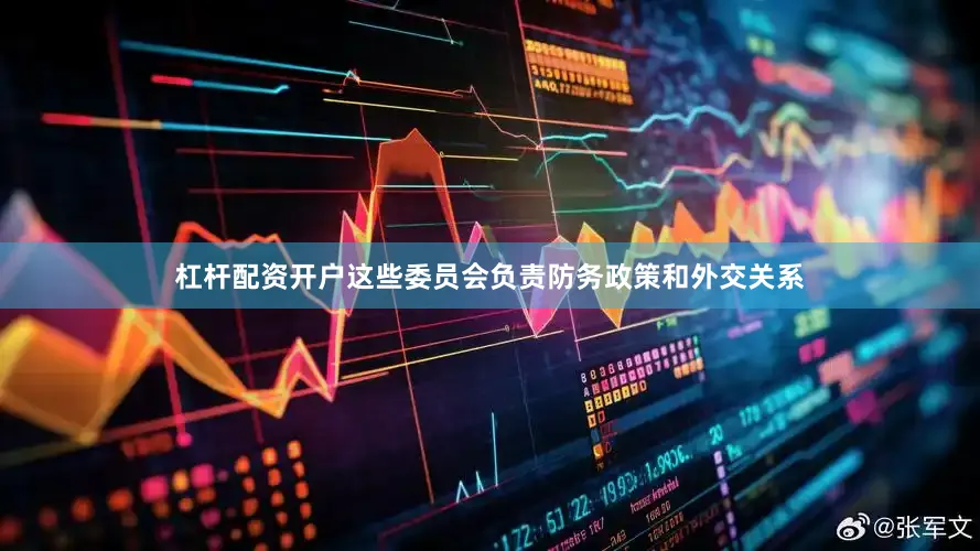 杠杆配资开户这些委员会负责防务政策和外交关系