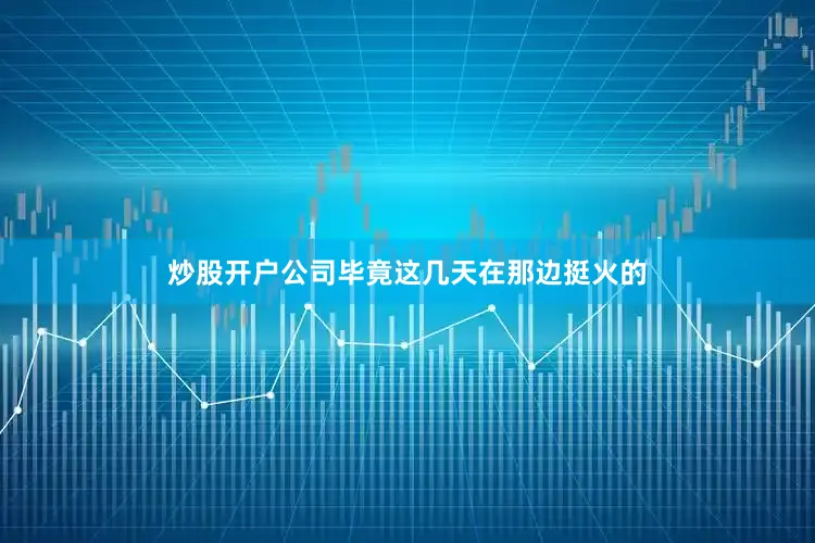 炒股开户公司毕竟这几天在那边挺火的
