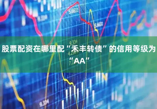 股票配资在哪里配“禾丰转债”的信用等级为“AA”
