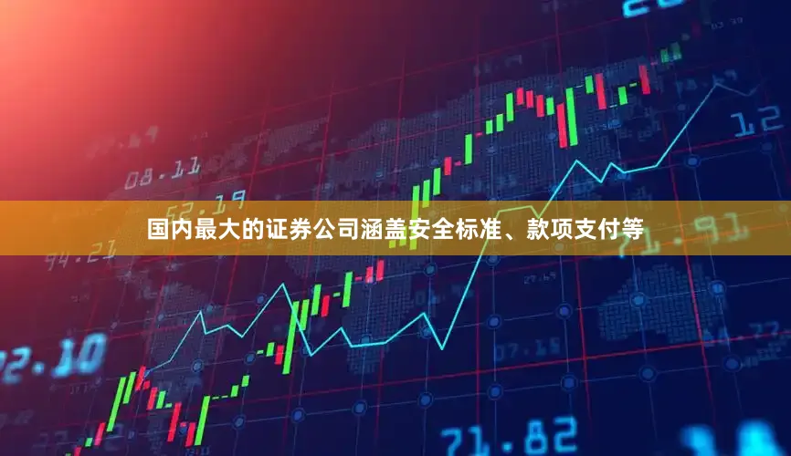国内最大的证券公司涵盖安全标准、款项支付等