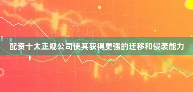 配资十大正规公司使其获得更强的迁移和侵袭能力