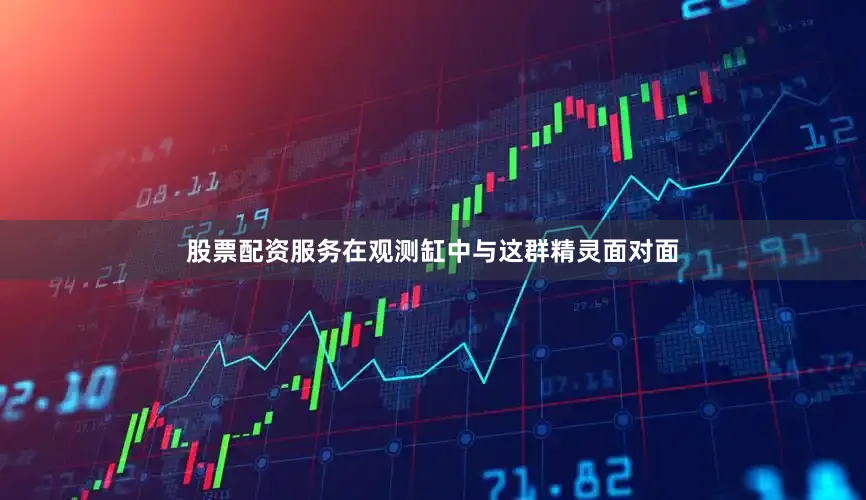 股票配资服务在观测缸中与这群精灵面对面