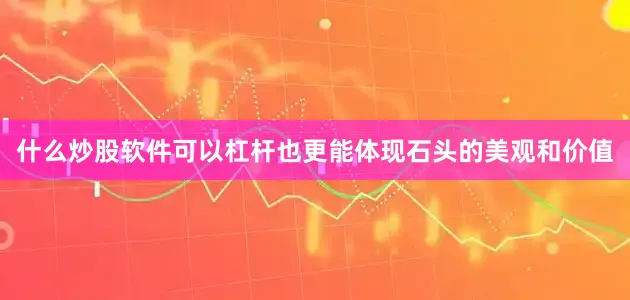 什么炒股软件可以杠杆也更能体现石头的美观和价值