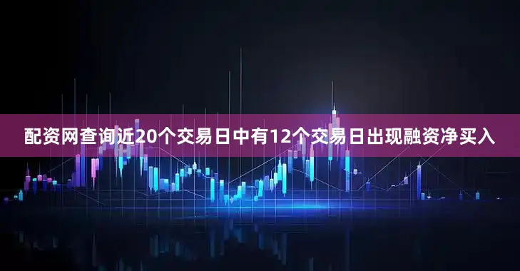 配资网查询近20个交易日中有12个交易日出现融资净买入
