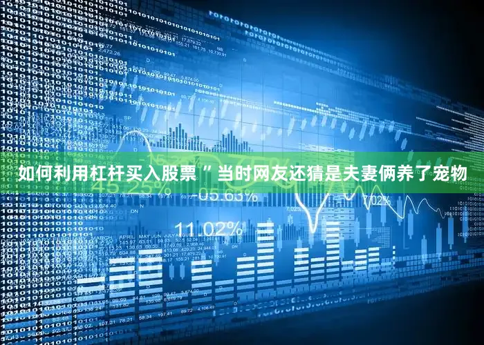 如何利用杠杆买入股票 ”当时网友还猜是夫妻俩养了宠物
